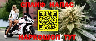 Альфа ПВП Гусиноозёрск