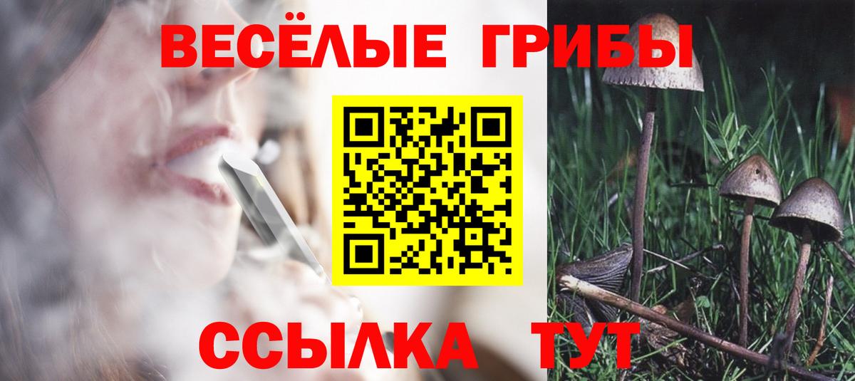 Волгодонск  Галлюциногенные грибы Psilocybine cubensis  Вход с VPN  Псилоцибиновые грибы прущие грибы 
